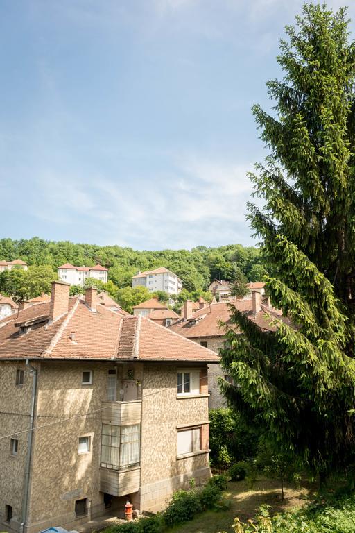 Chic Apartment Braşov Eksteriør bilde