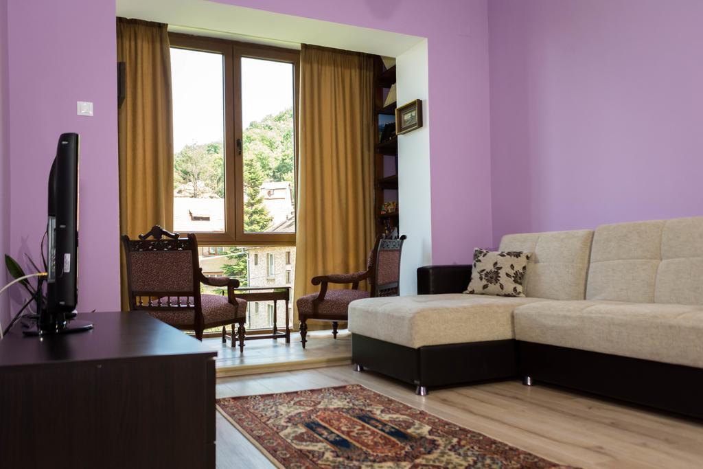 Chic Apartment Braşov Eksteriør bilde